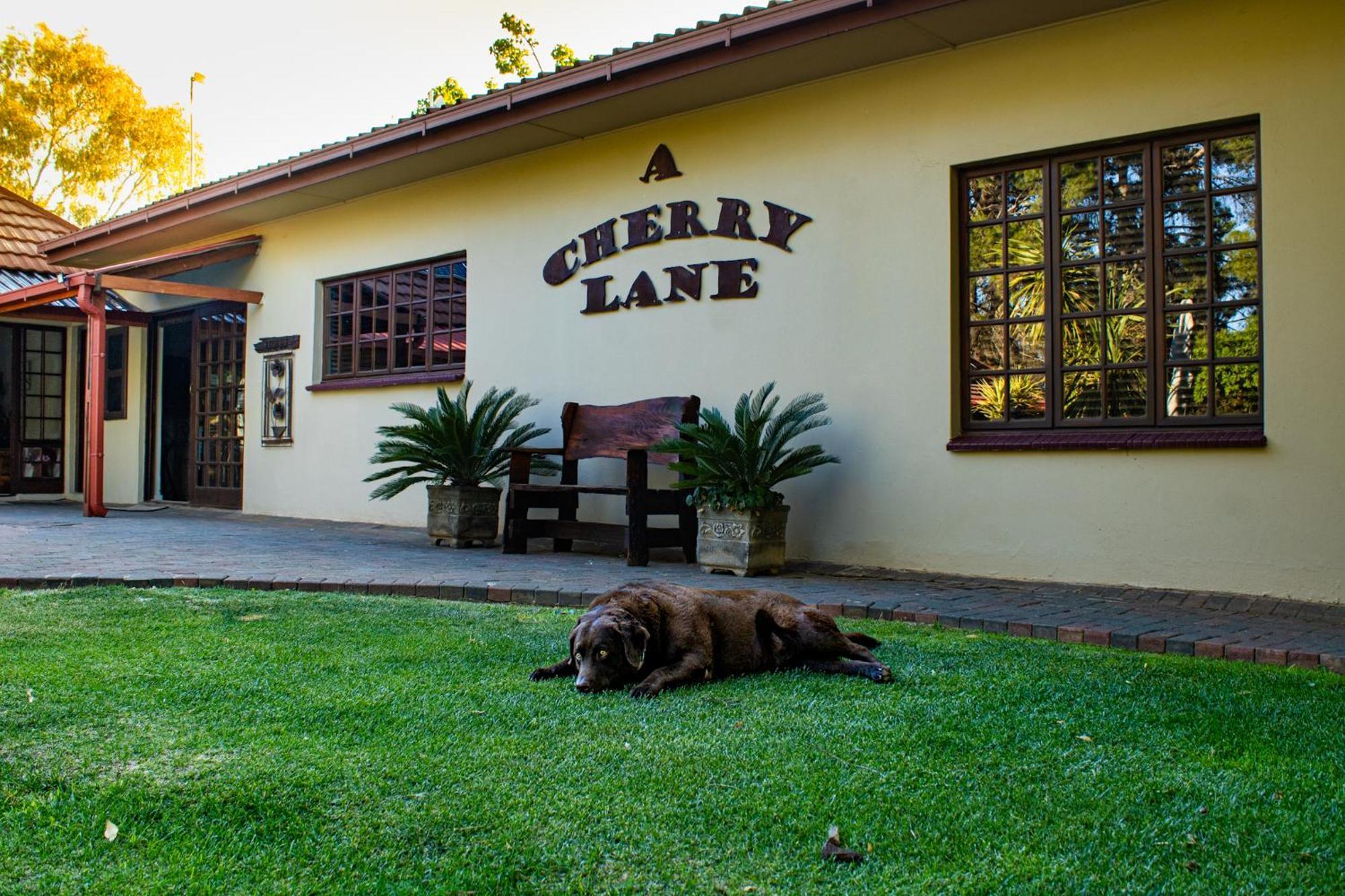 A Cherry Lane Self Catering And B&B Bloemfontein Exteriör bild