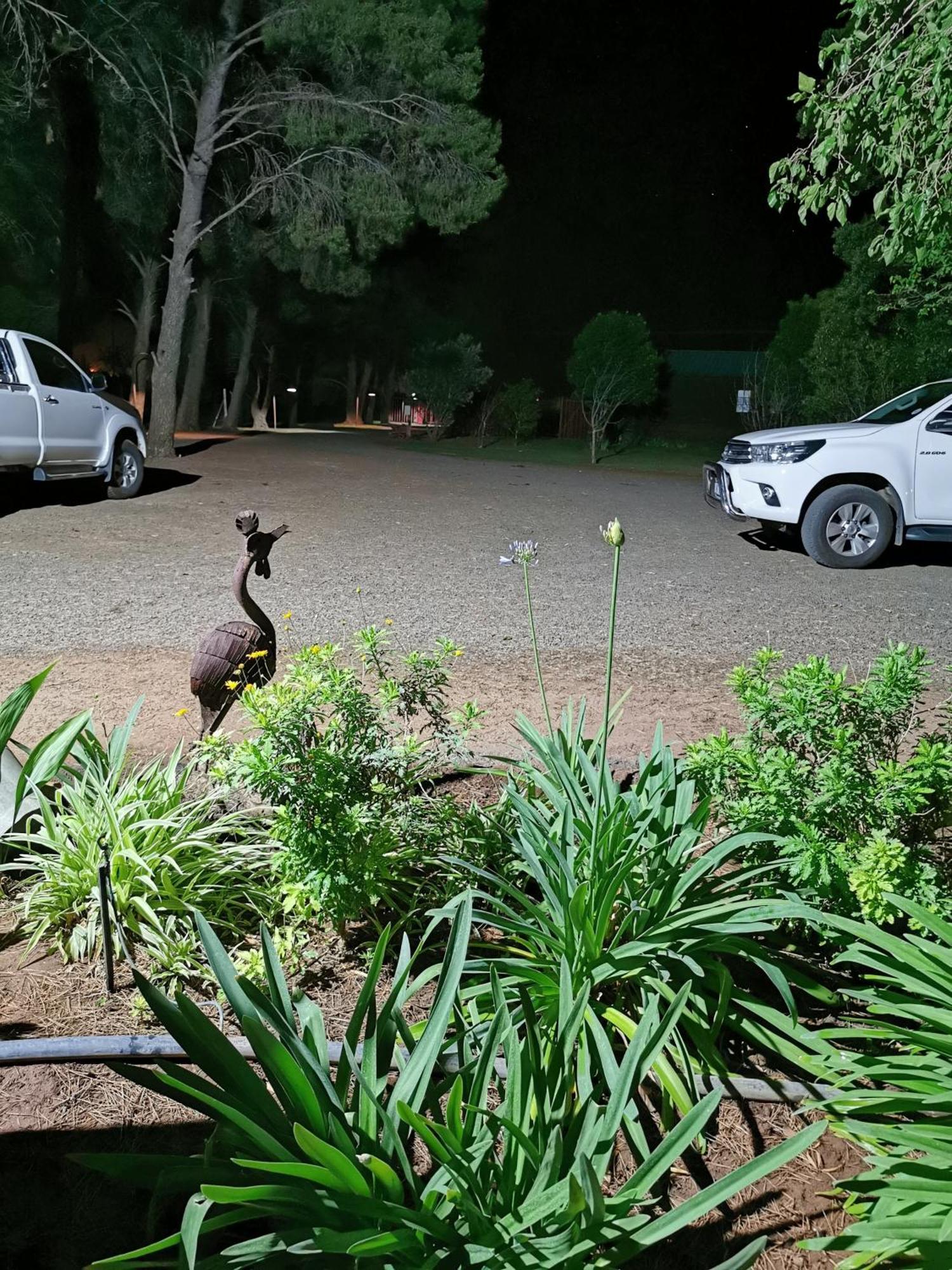 A Cherry Lane Self Catering And B&B Bloemfontein Exteriör bild