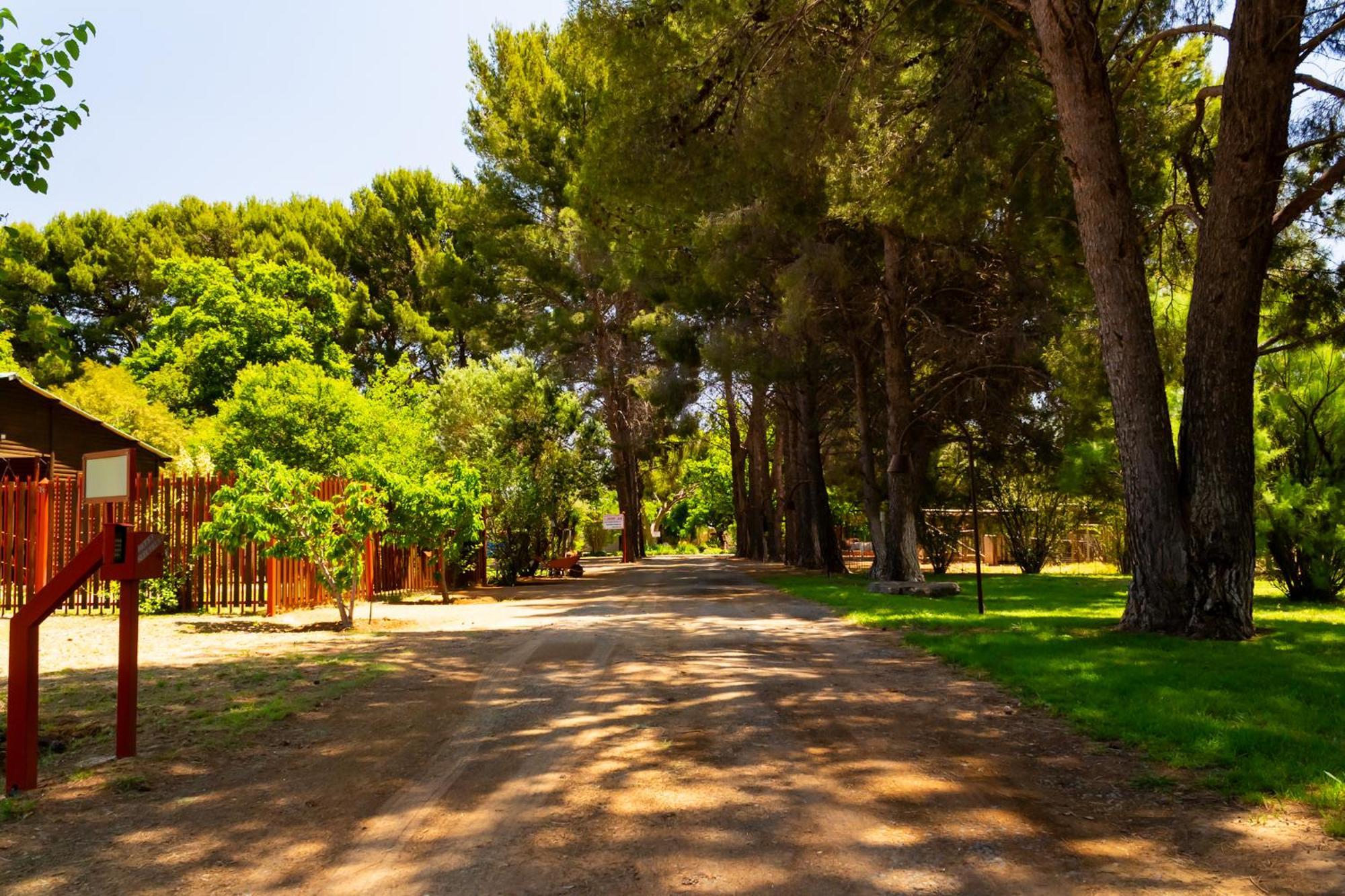 A Cherry Lane Self Catering And B&B Bloemfontein Exteriör bild